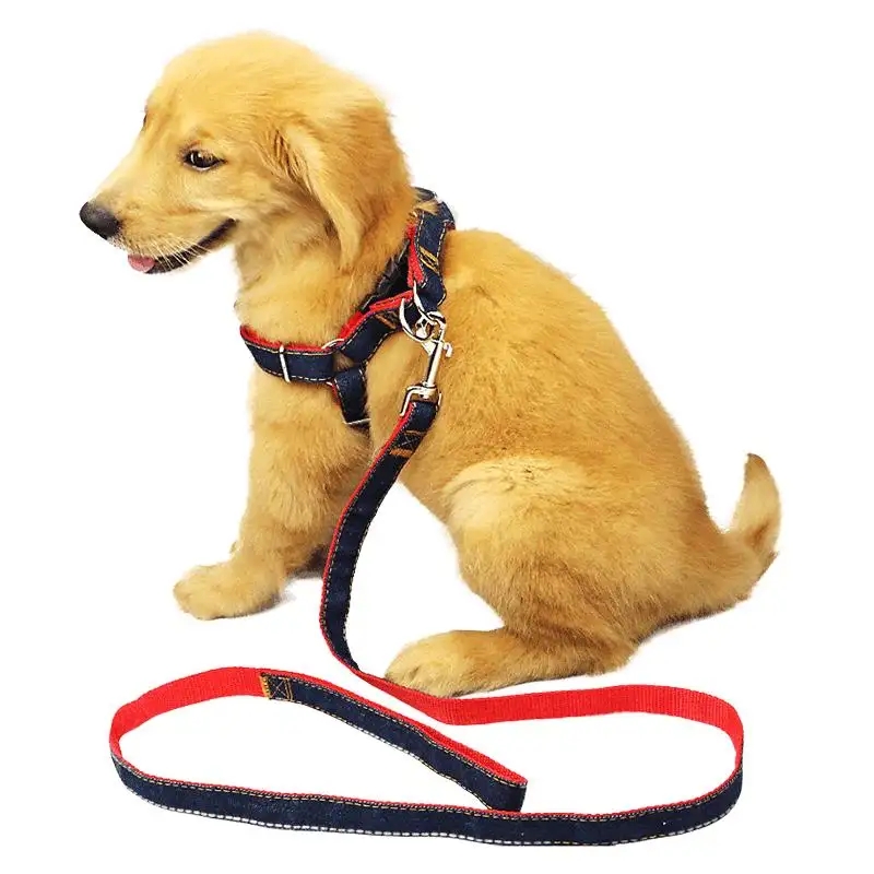 Ce specificații de lățime și grosime se potrivesc cel mai bine cu diferite dimensiuni de animale de companie pentru chinga din poliester pentru tracțiunea animalelor de companie?